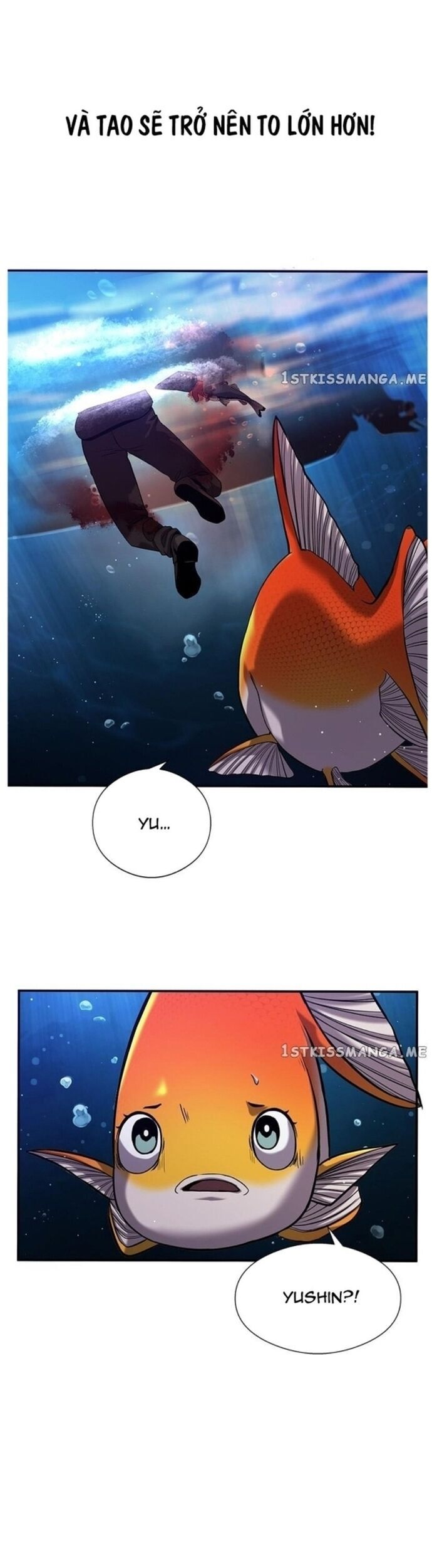 Hoá Thân Thành Cá Chapter 37 - Trang 2