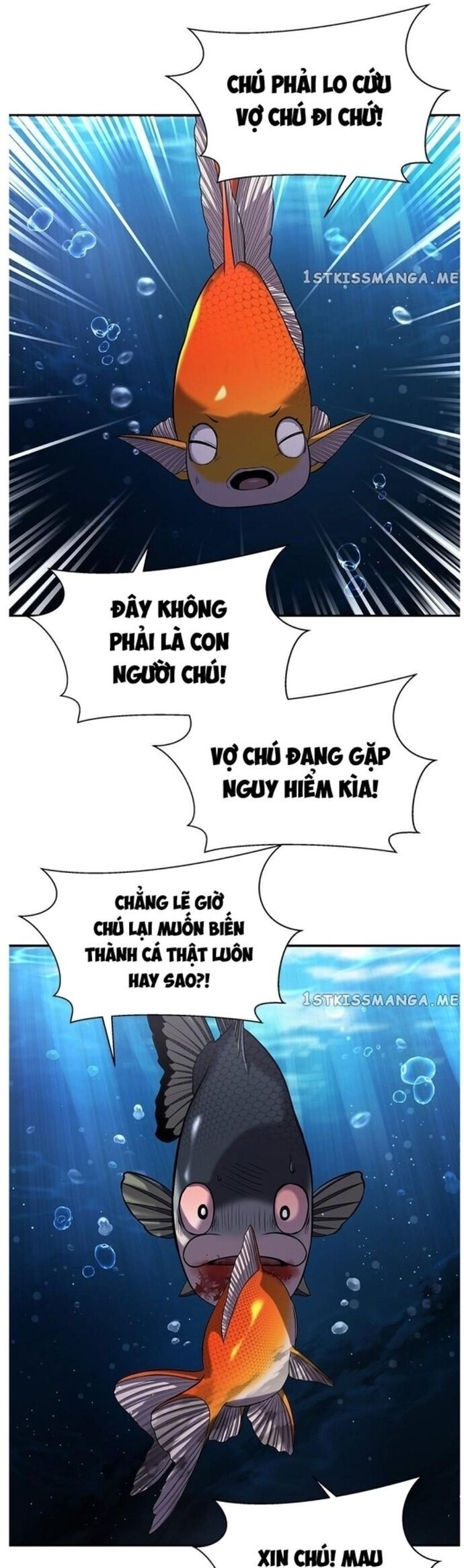 Hoá Thân Thành Cá Chapter 37 - Trang 2