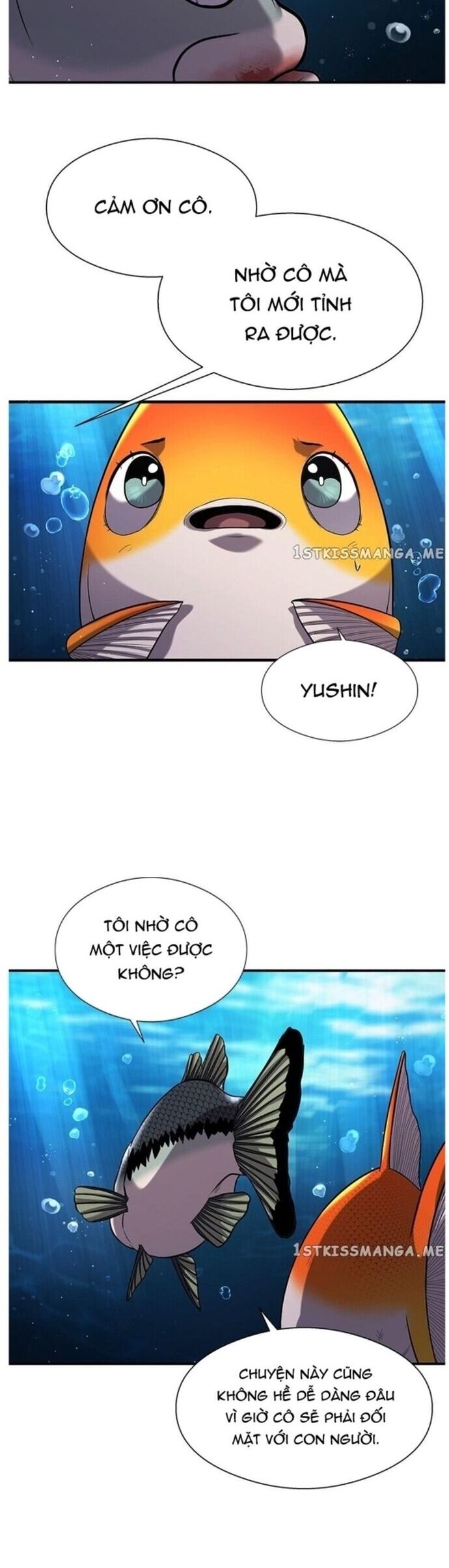 Hoá Thân Thành Cá Chapter 37 - Trang 2