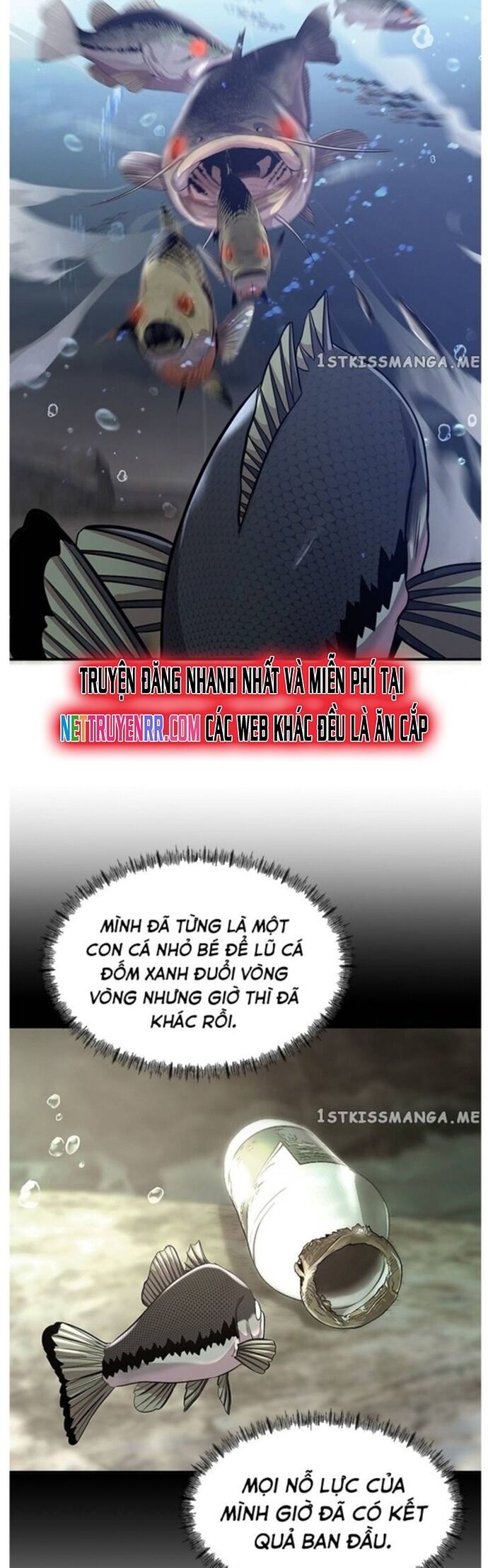 Hoá Thân Thành Cá Chapter 40 - Trang 2