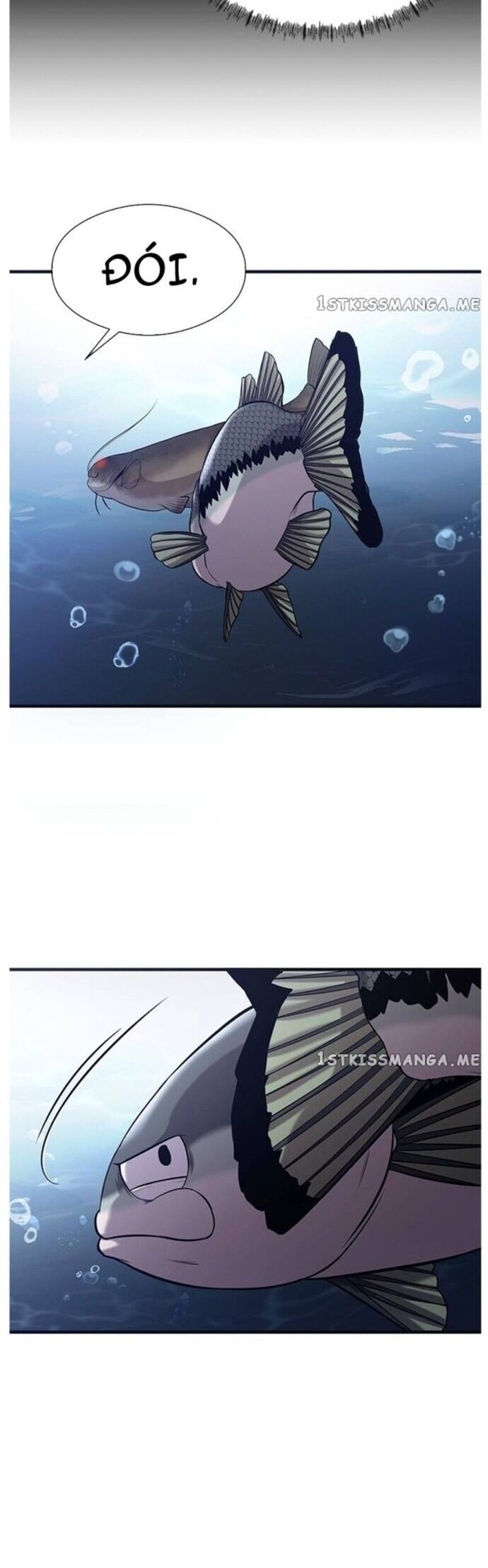 Hoá Thân Thành Cá Chapter 40 - Trang 2