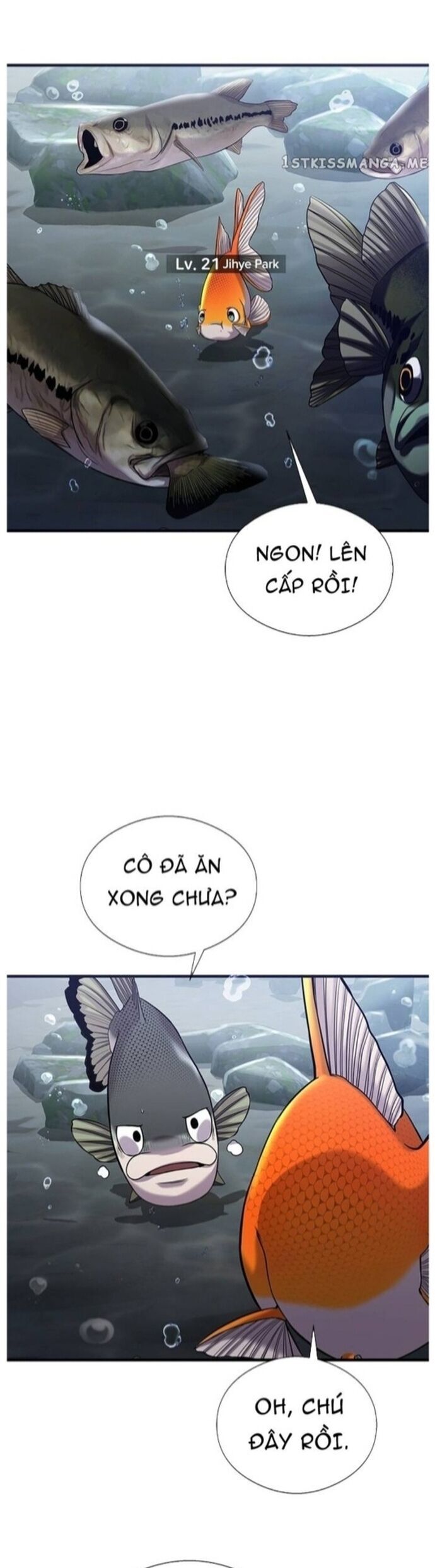 Hoá Thân Thành Cá Chapter 40 - Trang 2