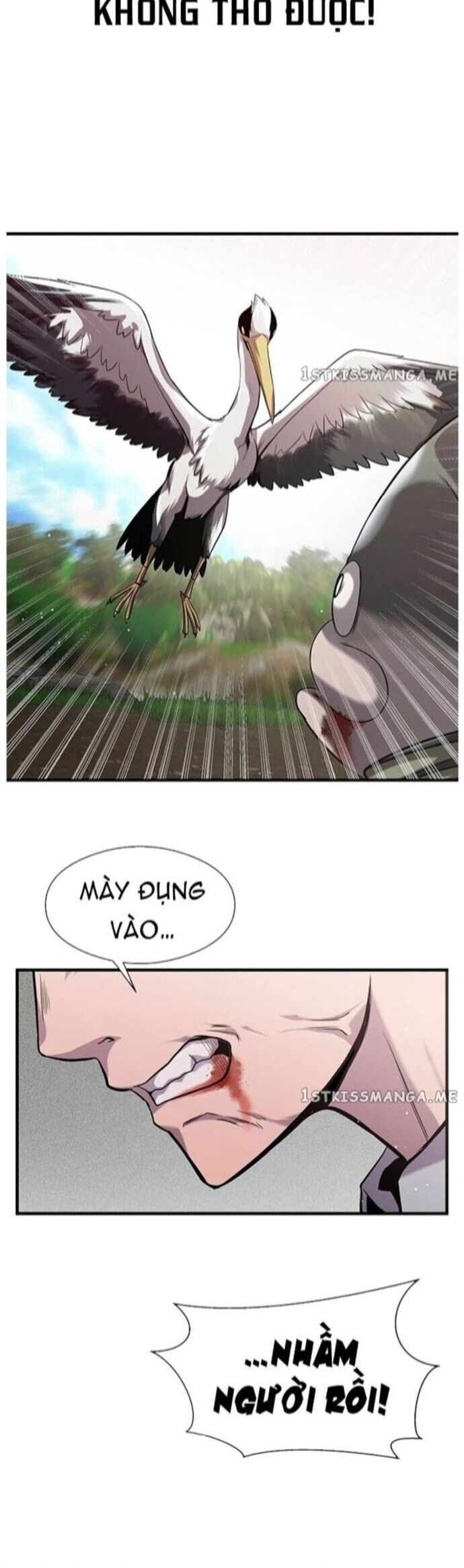 Hoá Thân Thành Cá Chapter 40 - Trang 2