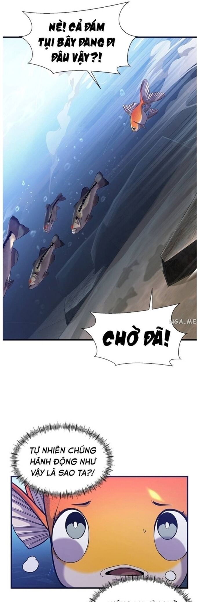 Hoá Thân Thành Cá Chapter 41 - Trang 2