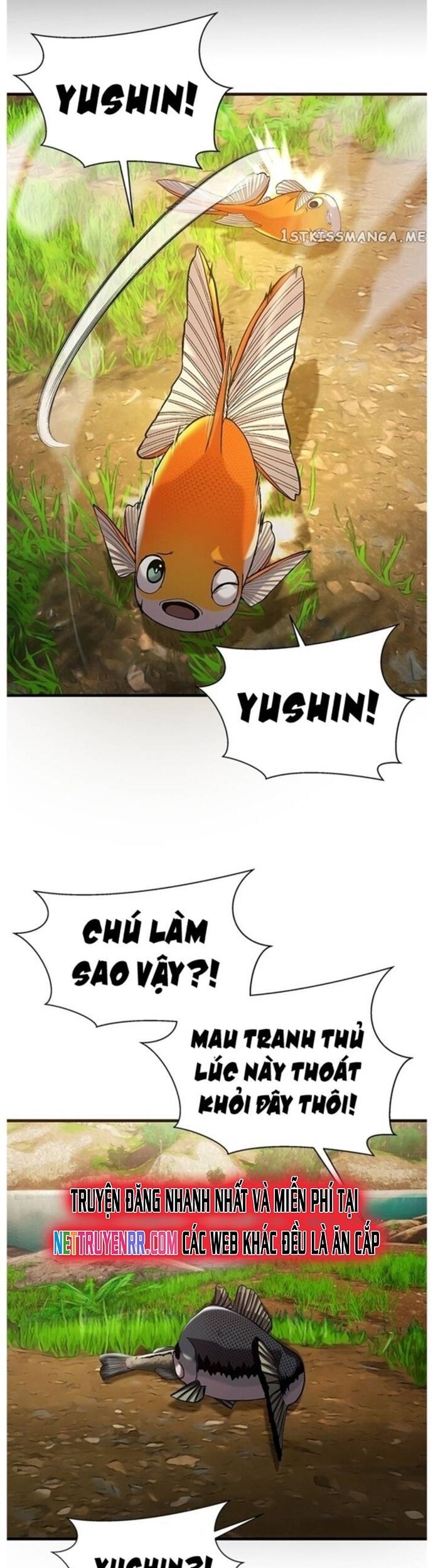 Hoá Thân Thành Cá Chapter 42 - Trang 2
