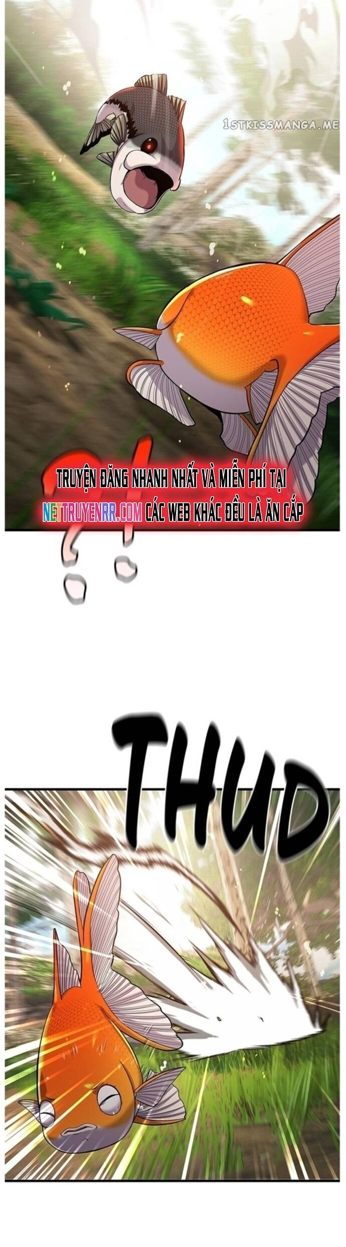 Hoá Thân Thành Cá Chapter 43 - Trang 2