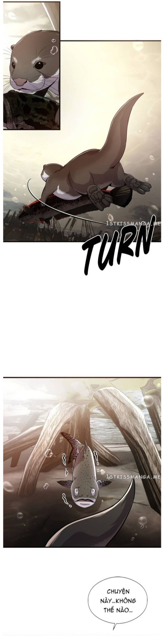 Hoá Thân Thành Cá Chapter 43 - Trang 2