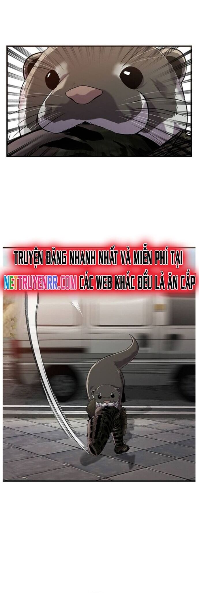 Hoá Thân Thành Cá Chapter 43 - Trang 2