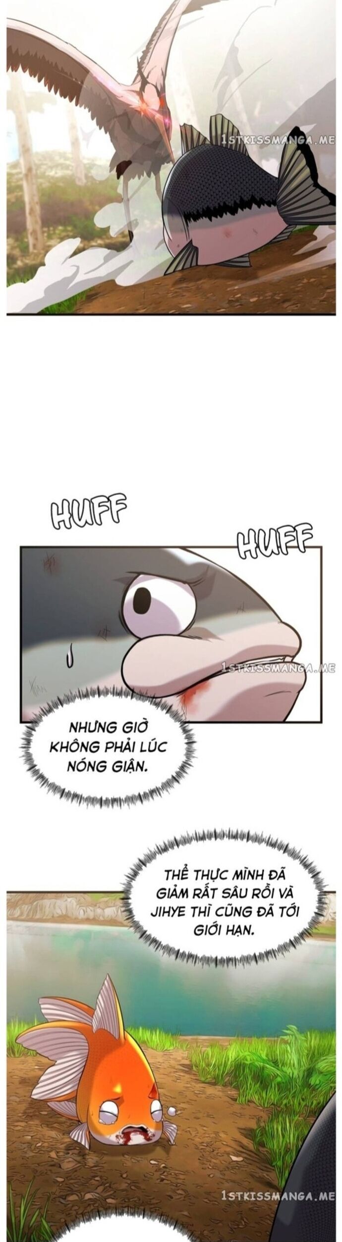 Hoá Thân Thành Cá Chapter 44 - Trang 2