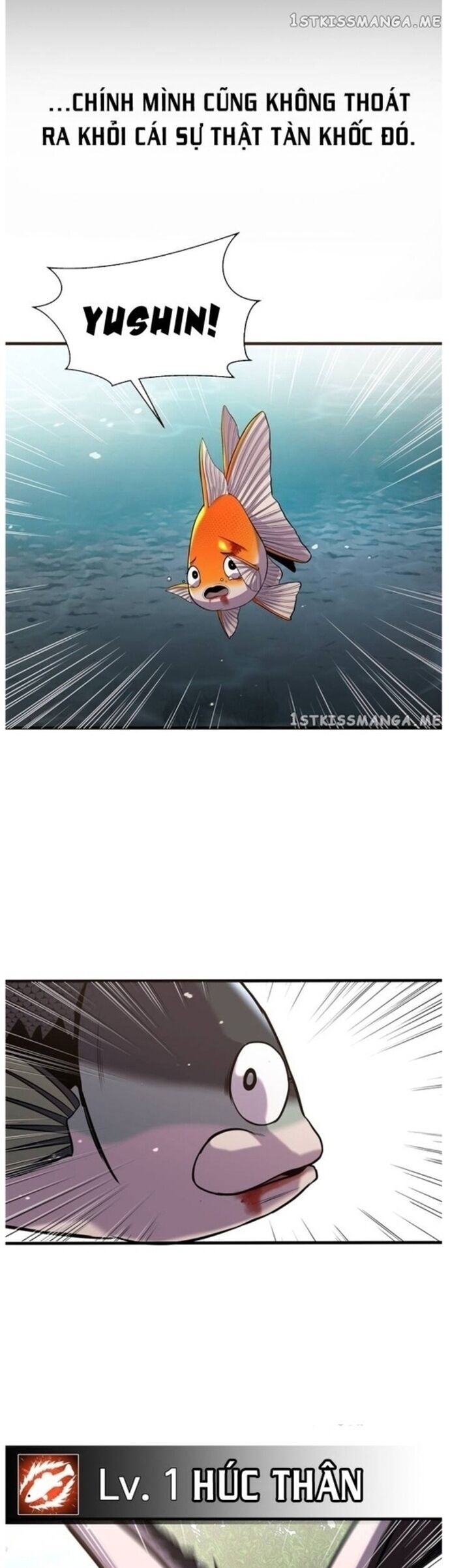 Hoá Thân Thành Cá Chapter 44 - Trang 2