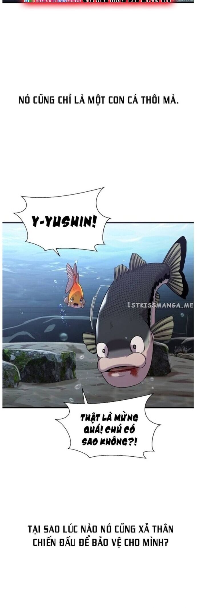 Hoá Thân Thành Cá Chapter 44 - Trang 2