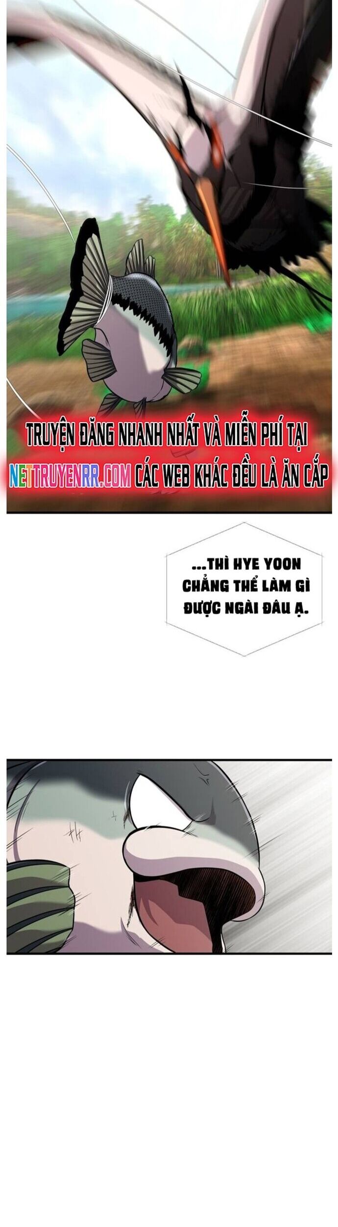 Hoá Thân Thành Cá Chapter 45 - Trang 2