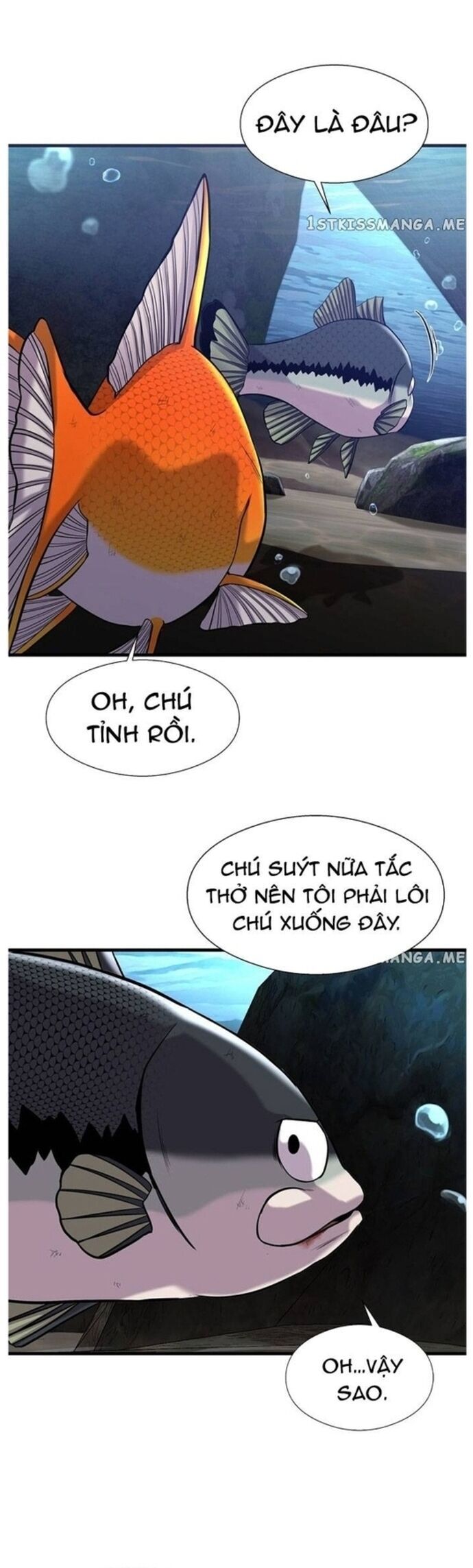 Hoá Thân Thành Cá Chapter 46 - Trang 2