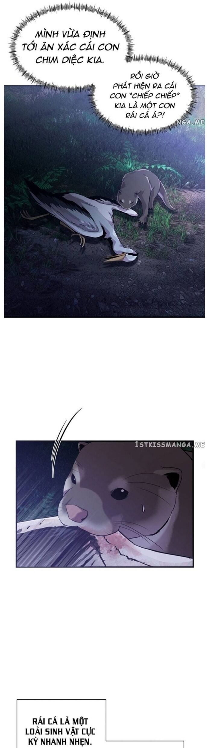 Hoá Thân Thành Cá Chapter 48 - Trang 2