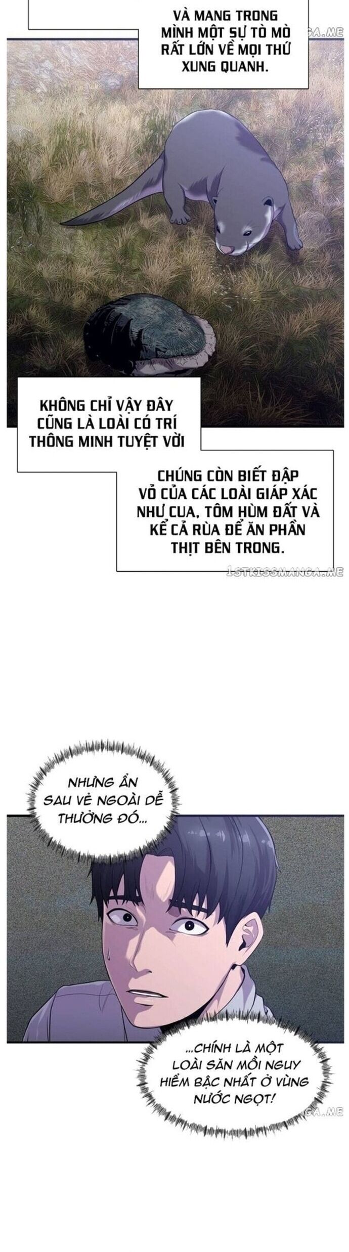 Hoá Thân Thành Cá Chapter 48 - Trang 2