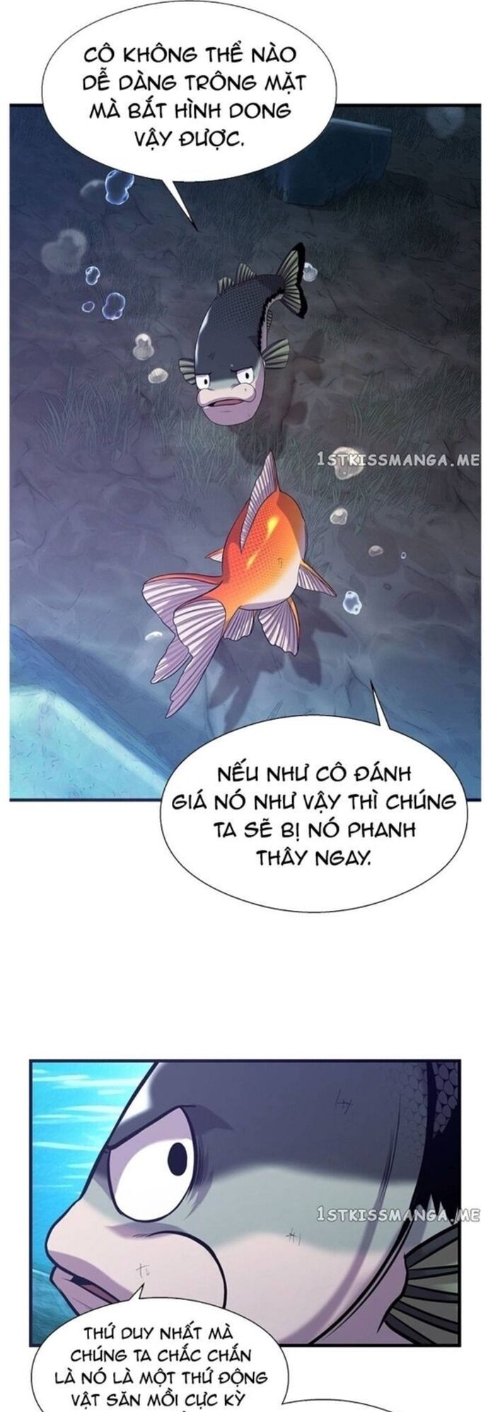 Hoá Thân Thành Cá Chapter 48 - Trang 2