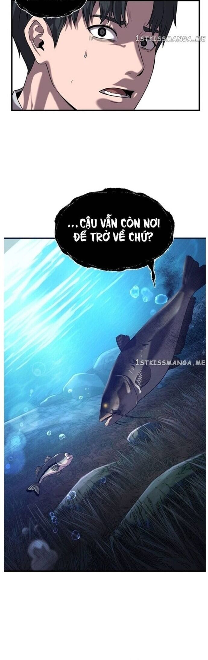 Hoá Thân Thành Cá Chapter 49 - Trang 2