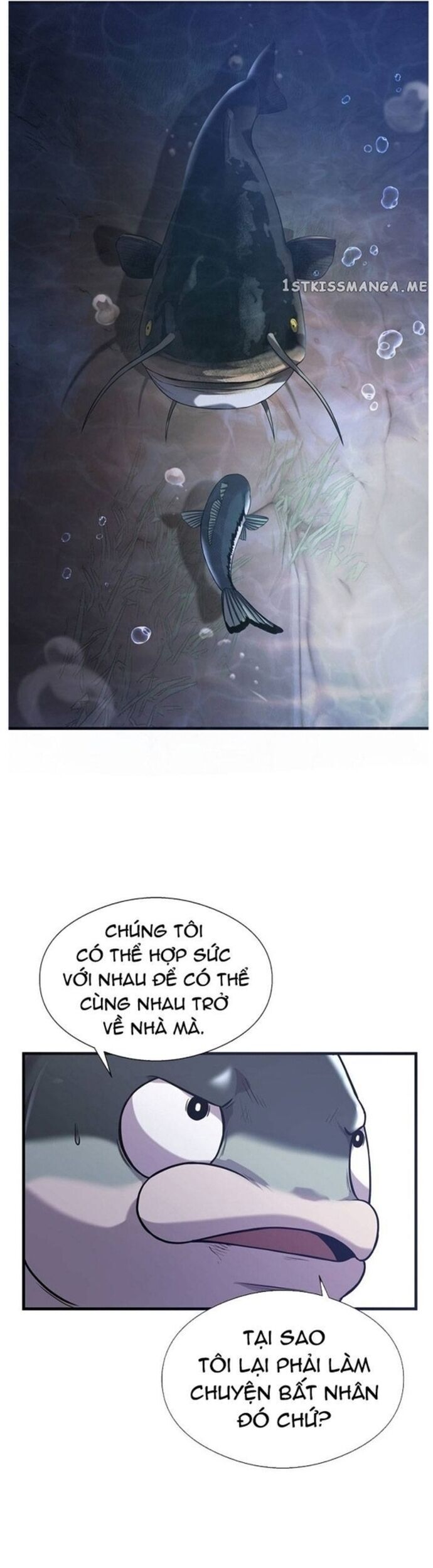 Hoá Thân Thành Cá Chapter 49 - Trang 2