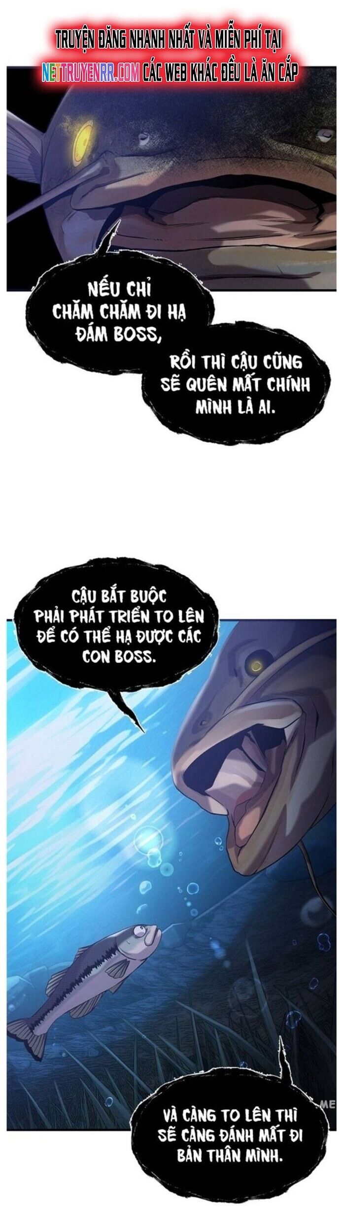 Hoá Thân Thành Cá Chapter 49 - Trang 2