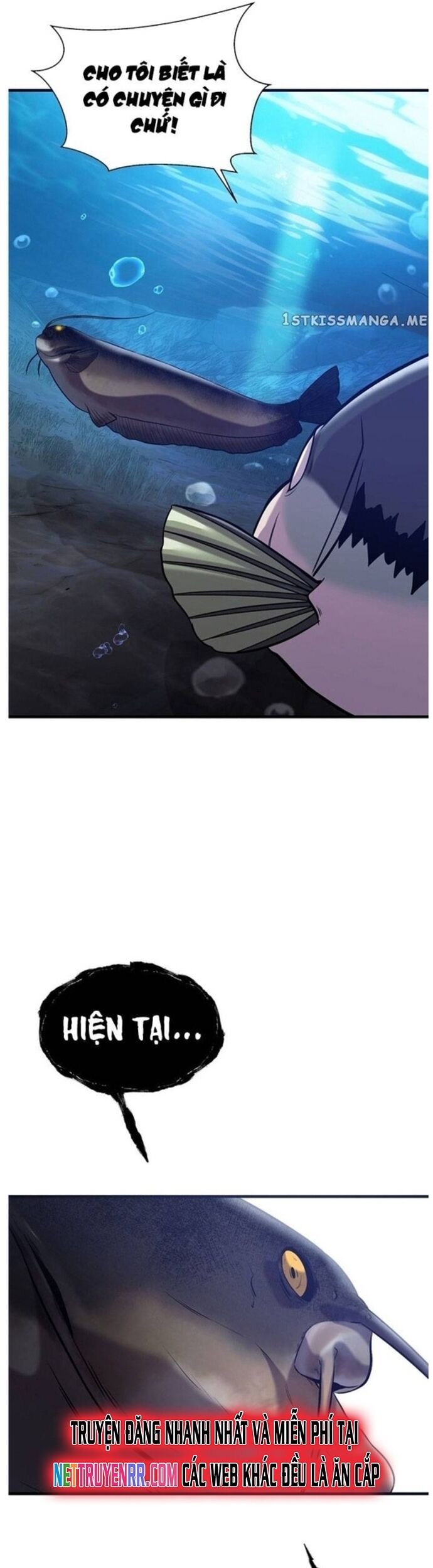 Hoá Thân Thành Cá Chapter 49 - Trang 2