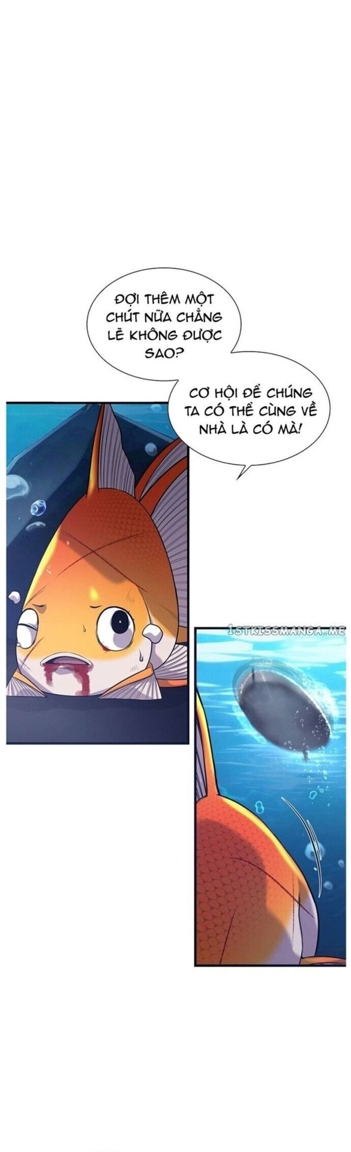 Hoá Thân Thành Cá Chapter 49 - Trang 2