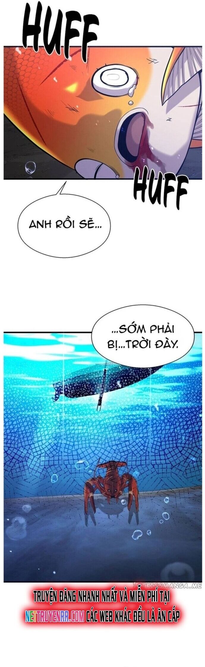 Hoá Thân Thành Cá Chapter 49 - Trang 2