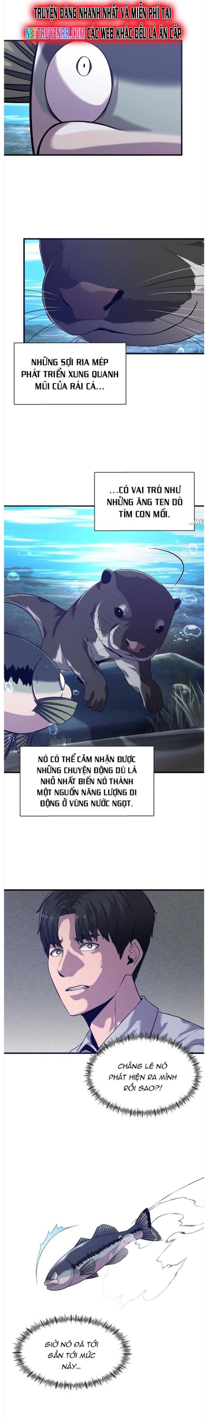 Hoá Thân Thành Cá Chapter 50 - Trang 2