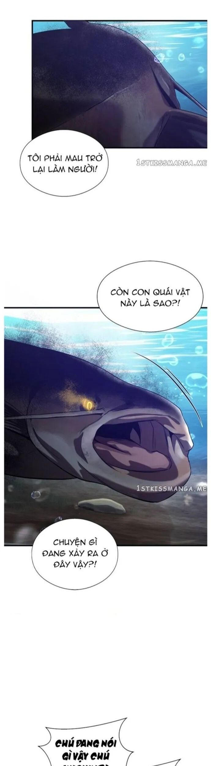 Hoá Thân Thành Cá Chapter 53 - Trang 2
