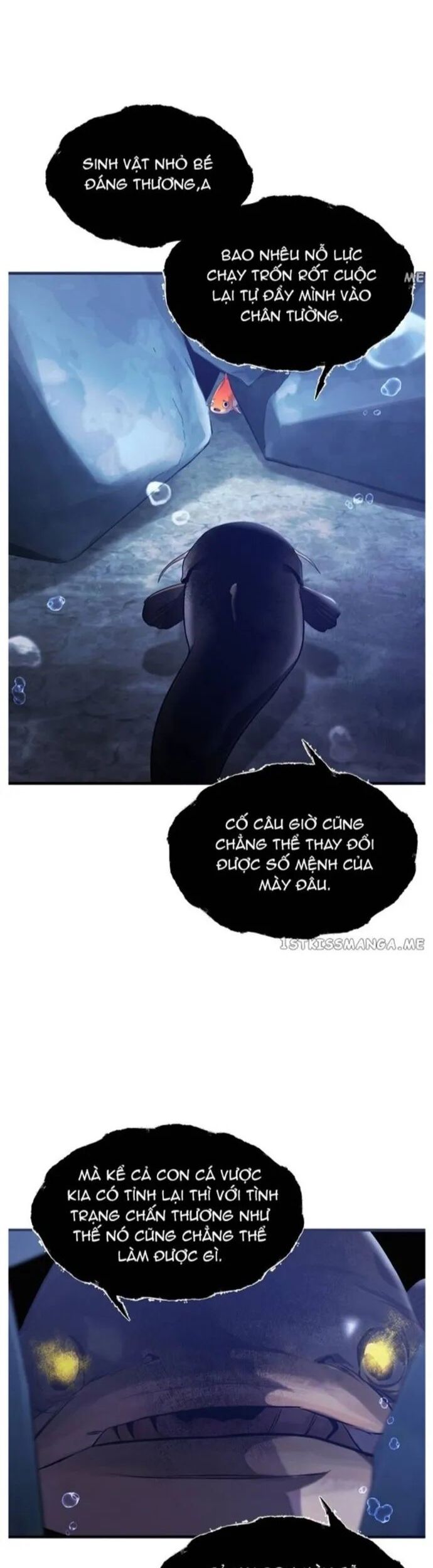 Hoá Thân Thành Cá Chapter 54 - Trang 2