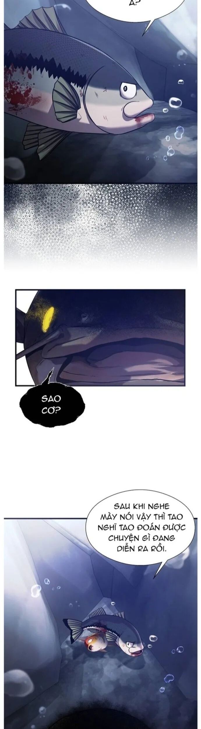 Hoá Thân Thành Cá Chapter 55 - Trang 2