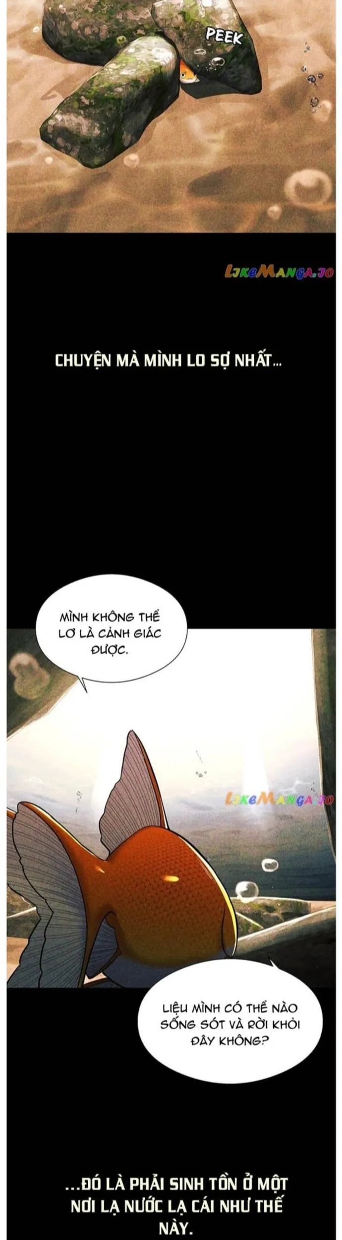 Hoá Thân Thành Cá Chapter 56 - Trang 2