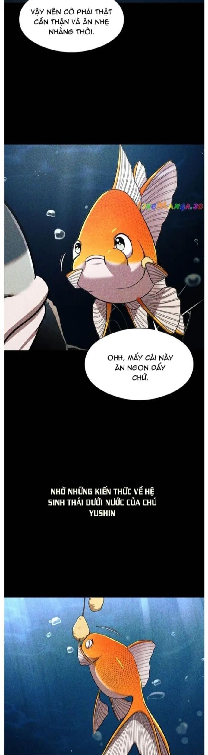 Hoá Thân Thành Cá Chapter 56 - Trang 2