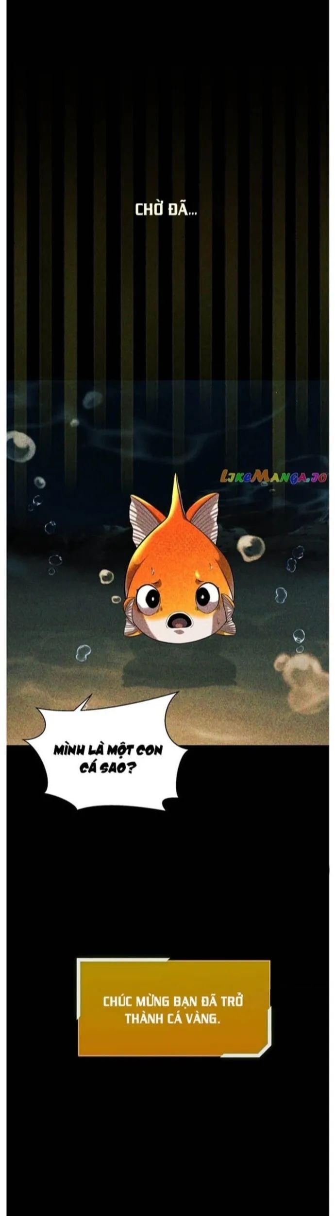 Hoá Thân Thành Cá Chapter 56 - Trang 2