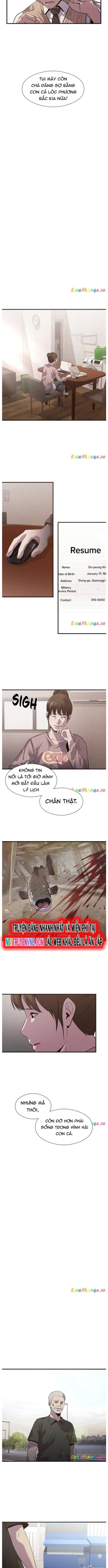 Hoá Thân Thành Cá Chapter 60 - Trang 2