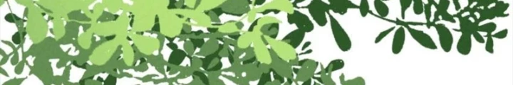 Lòng Hiếu Thảo Của Đồ Đệ Ta Gần Như Biến Chất! Chapter 48 - Trang 2
