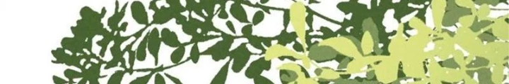 Lòng Hiếu Thảo Của Đồ Đệ Ta Gần Như Biến Chất! Chapter 49 - Trang 2