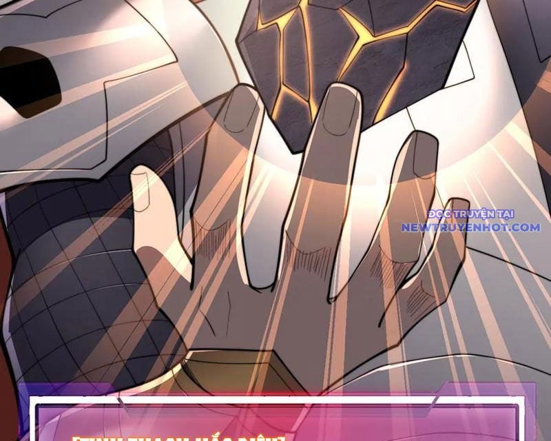 Game Online: Vì Quá Phóng Túng, Tôi Đã Trở Thành Kẻ Thù Của Cả Server Chapter 93 - Trang 2