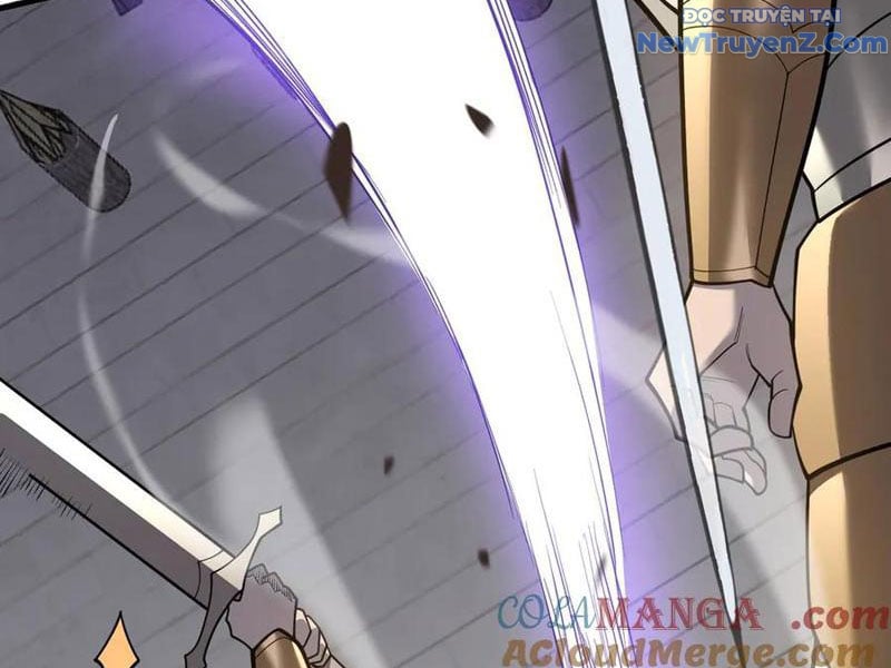 Game Online: Vì Quá Phóng Túng, Tôi Đã Trở Thành Kẻ Thù Của Cả Server Chapter 113 - Trang 2