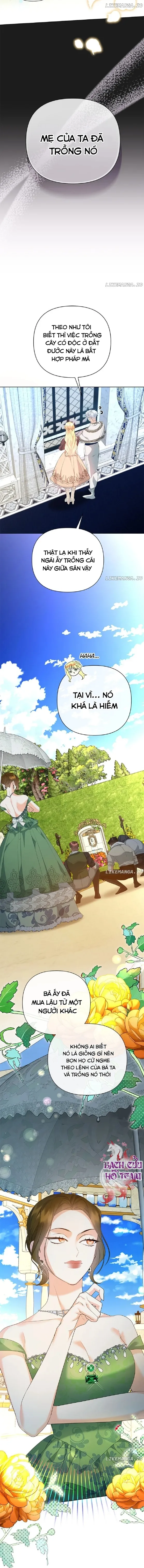 Tôi Tạo Nên Hậu Cung Để Né Nam Chính Chapter 39 - Trang 2
