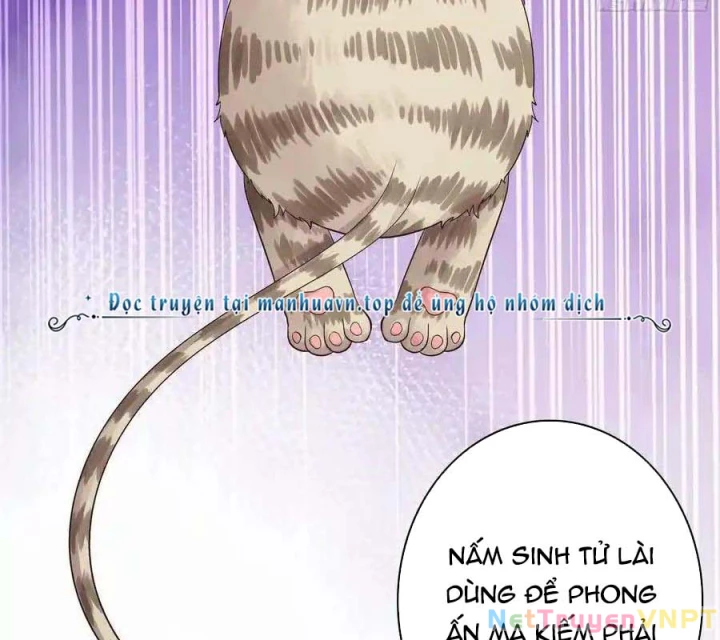 Pure Love Succubus Scraps Sword Fairy Chapter 40 - Trang 2