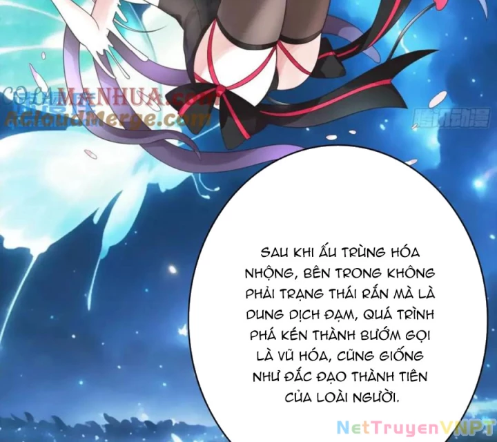 Pure Love Succubus Scraps Sword Fairy Chapter 69 - Trang 2