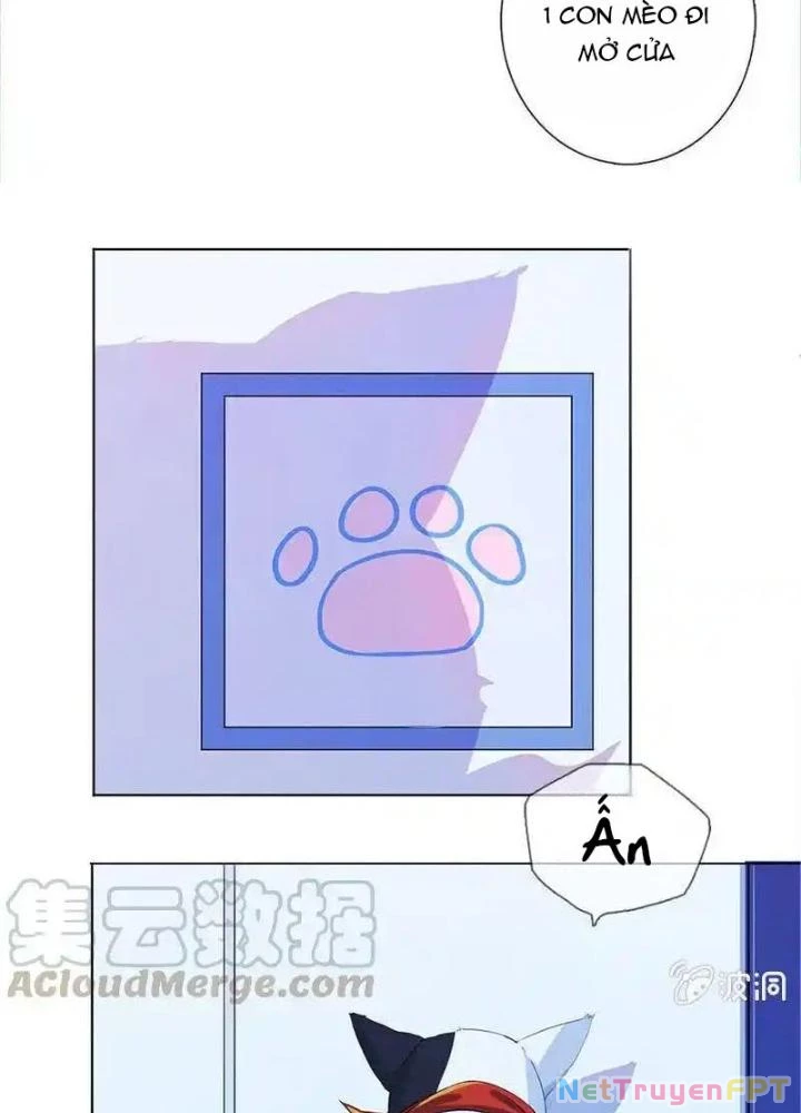 Bạn Gái Sạc Pin Của Tôi Chapter 6 - Trang 2