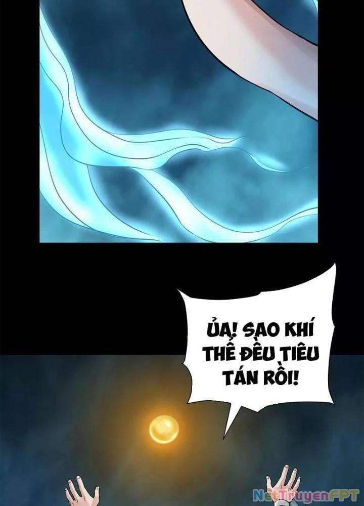 Thiên Tôn Trở Về Chapter 40 - Trang 2