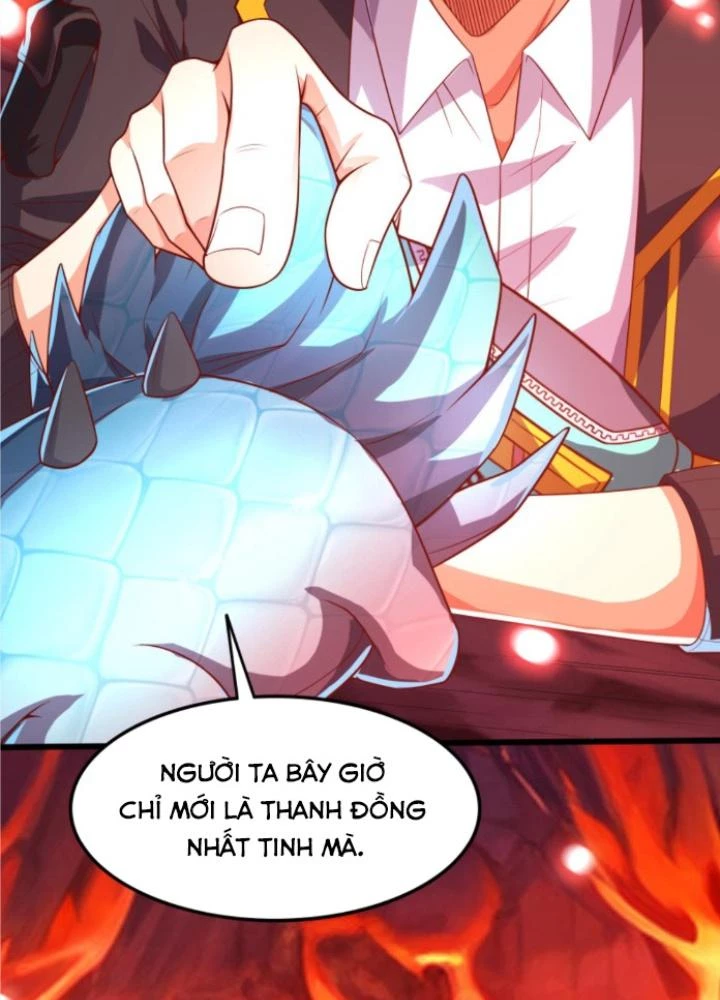 Linh Khí Khôi Phục: Ta Mỗi Ngày Thu Được Một Cái Kỹ Năng Mới Chapter 227 - Trang 2