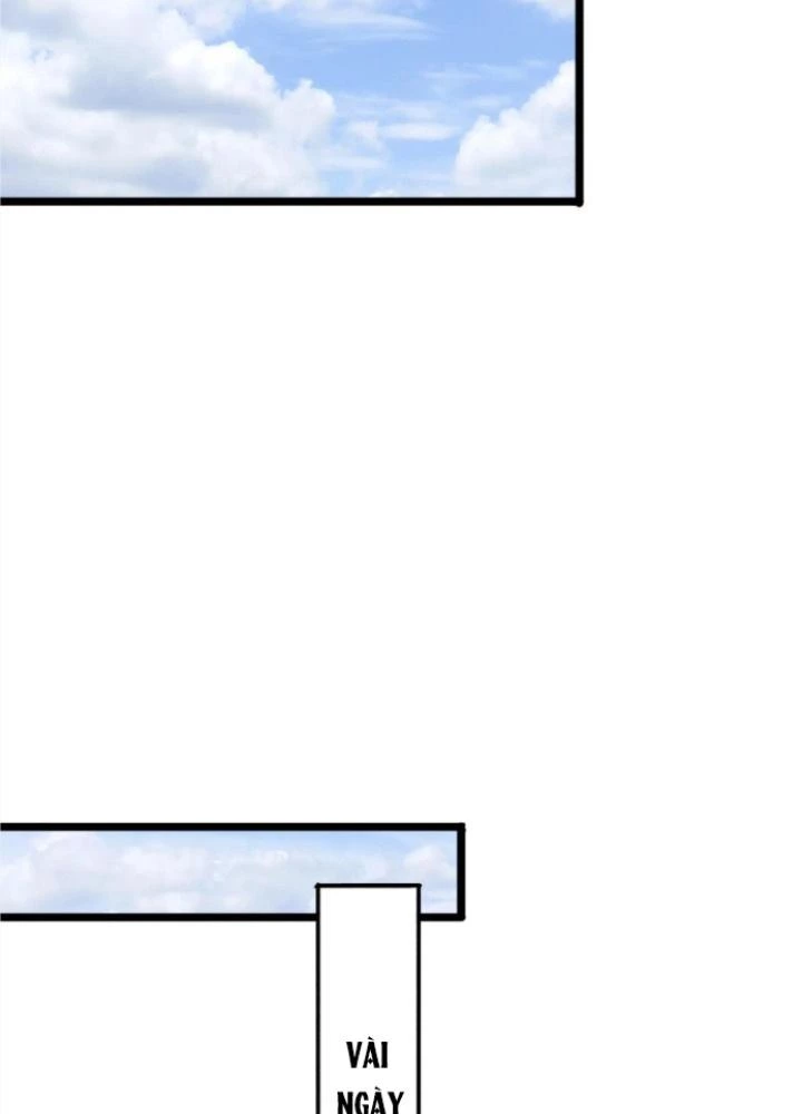 Linh Khí Khôi Phục: Ta Mỗi Ngày Thu Được Một Cái Kỹ Năng Mới Chapter 242 - Trang 2