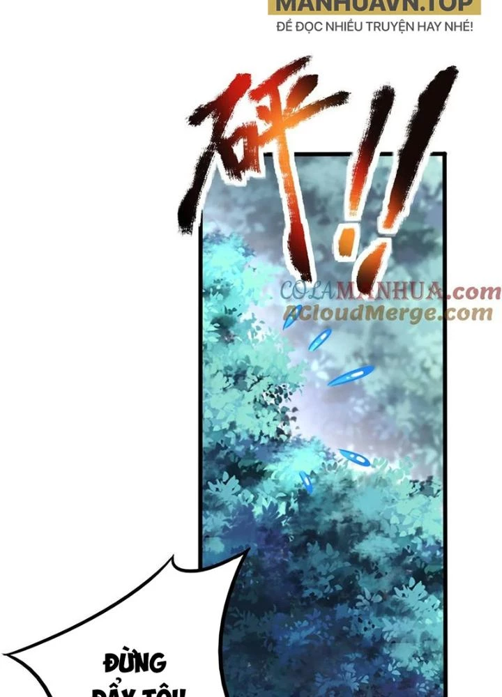 Linh Khí Khôi Phục: Ta Mỗi Ngày Thu Được Một Cái Kỹ Năng Mới Chapter 255 - Trang 2