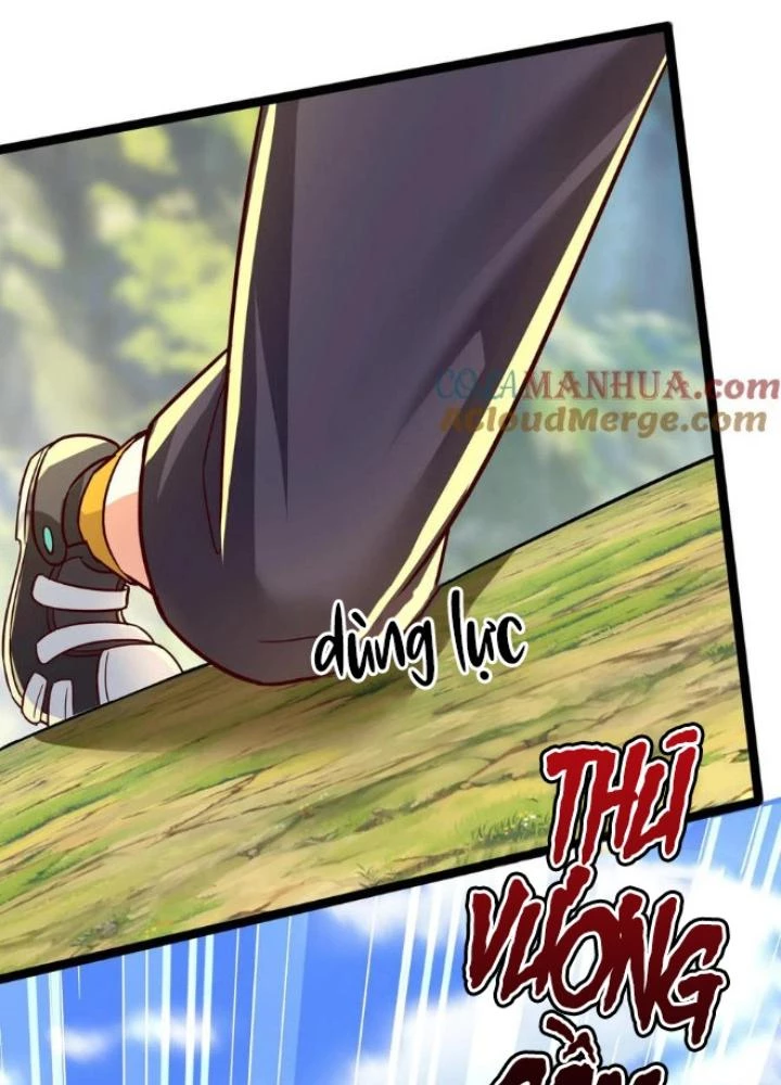 Linh Khí Khôi Phục: Ta Mỗi Ngày Thu Được Một Cái Kỹ Năng Mới Chapter 256 - Trang 2