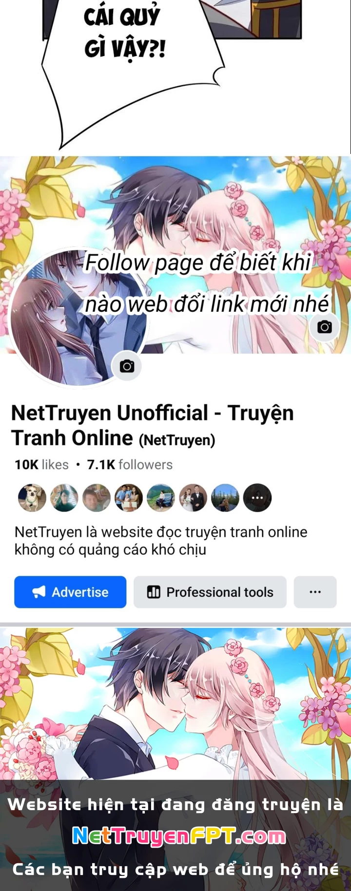 Linh Khí Khôi Phục: Ta Mỗi Ngày Thu Được Một Cái Kỹ Năng Mới Chapter 260 - Trang 2