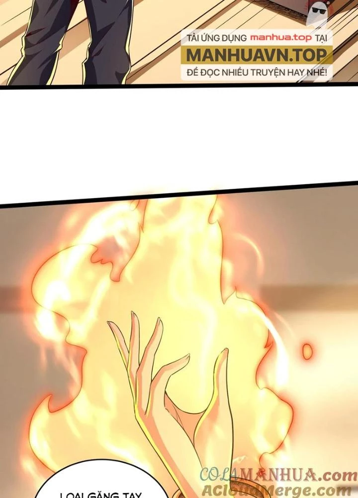 Linh Khí Khôi Phục: Ta Mỗi Ngày Thu Được Một Cái Kỹ Năng Mới Chapter 261 - Trang 2