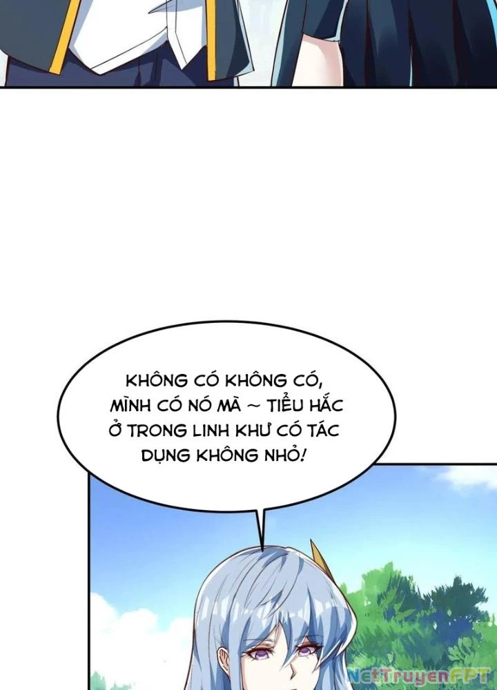 Linh Khí Khôi Phục: Ta Mỗi Ngày Thu Được Một Cái Kỹ Năng Mới Chapter 262 - Trang 2